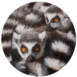 Obrázek z Puzzle kruh lemur 56 dílků (9) 